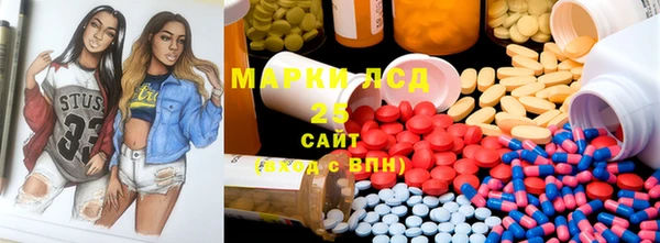 ПСИЛОЦИБИНОВЫЕ ГРИБЫ Аркадак