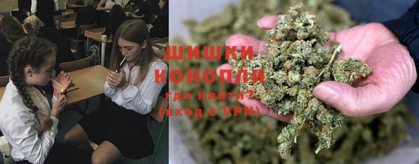 ПСИЛОЦИБИНОВЫЕ ГРИБЫ Аркадак