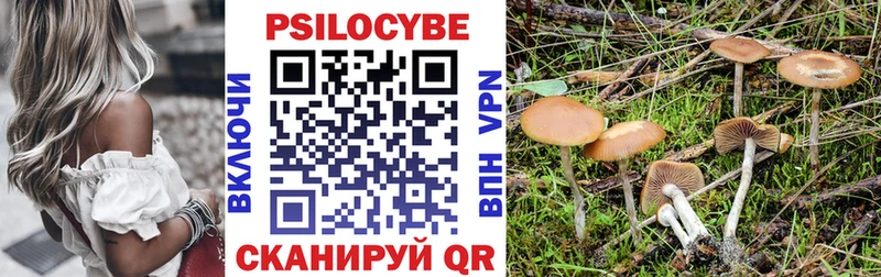 Галлюциногенные грибы MAGIC MUSHROOMS  купить наркоту  Кашира 