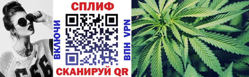 OMG tor  Кашира  Шишки марихуана OG Kush 